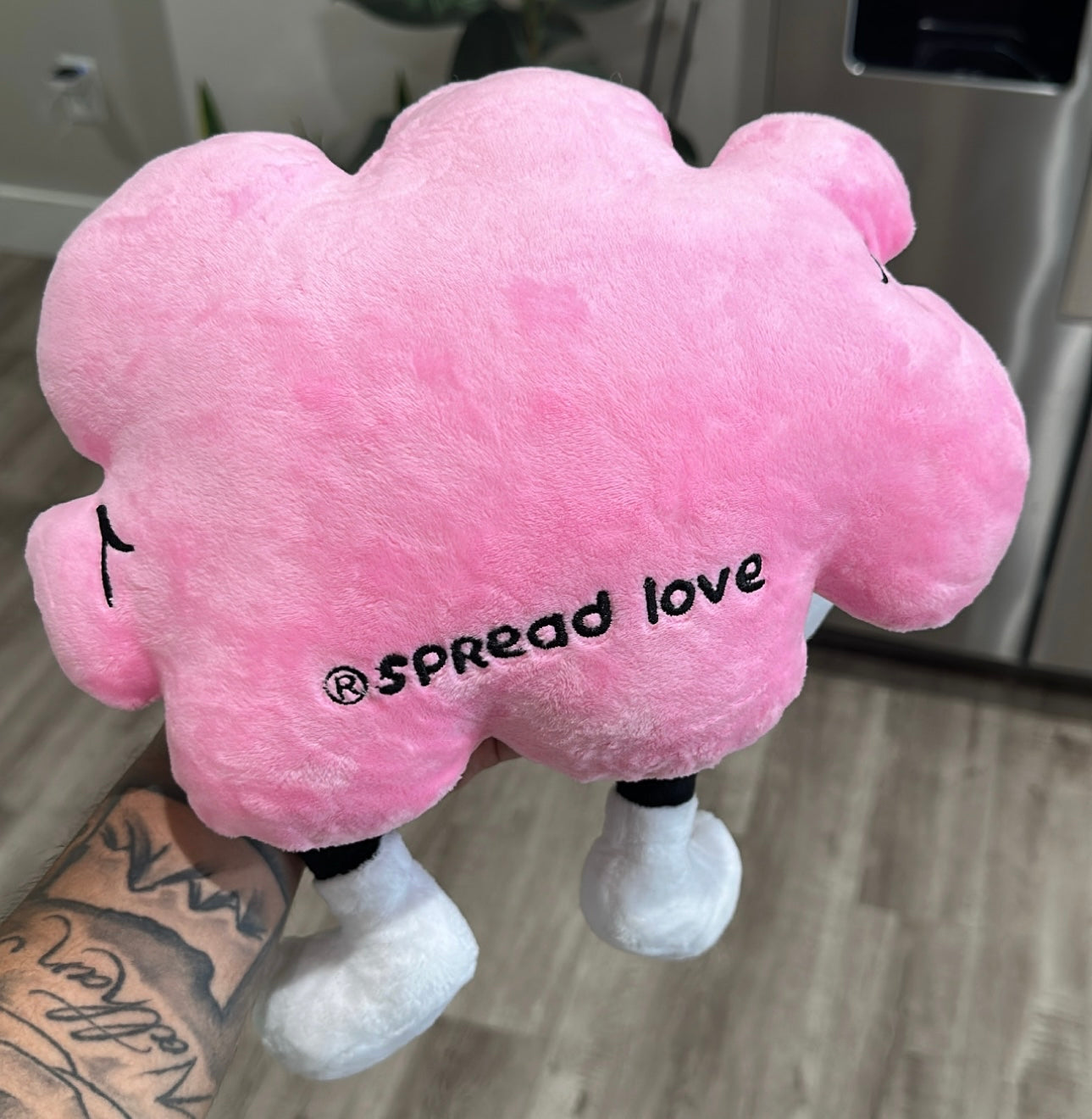 Cloudy Plush Toy